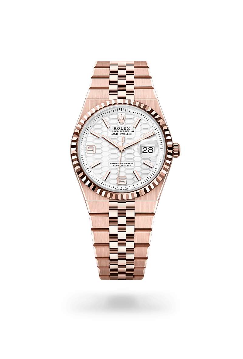 Rolex Land-Dweller 36 in 18 ct Everose gold, M127235-0001 - Precision Watch